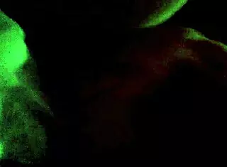 Oh what a delicious blowjob this gay stud gives!