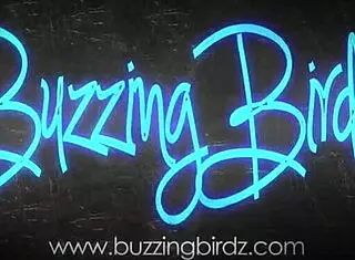 I watch my latina couple deepthroat and play with big asses