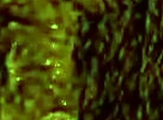 in the finale, the futanari mistress rides the male in cowgirl anal domination