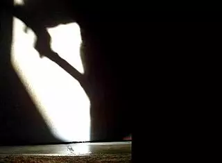 Ombres Chinoises Masturbation Scene