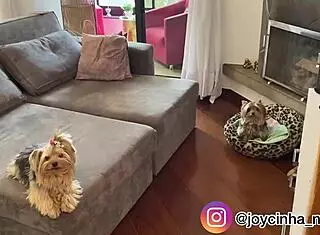 take a tour of my new place, see where I shoot my vids!