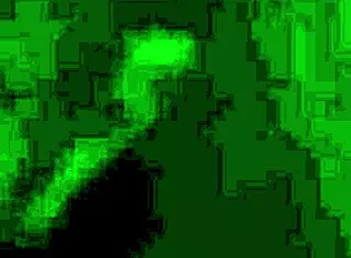 Do you want to see this ebony girl sucking cock?