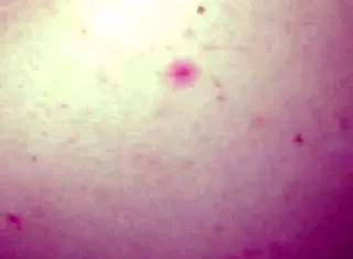 i've seen 250 amateur videos and they're all so intense