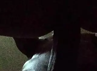 Wifey gets bold hardcore fucking from her husband in intense session