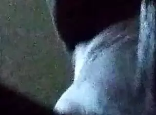 Wifey gets bold hardcore fucking from her husband in intense session