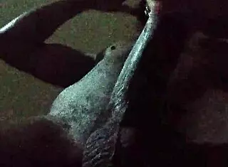 Wifey gets bold hardcore fucking from her husband in intense session