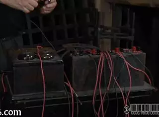 Exploring intense thraldom for ultimate orgasm scenes in wild action.