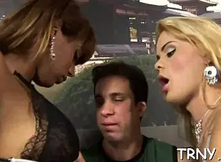 Exploring Trannies Content On Tumblr