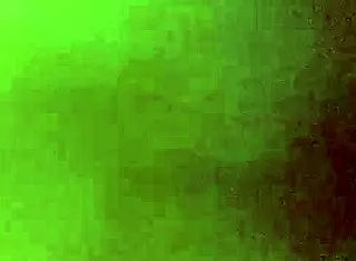 Beargrizz hitting wifes ass pov doggystyle