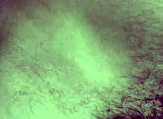 Voyeur Watches Action On The Rooftop