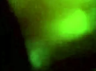 Amateur Voyeur Spies On Neighbor Getting Fucked Hard In Bathroom Shower With Intense Passion