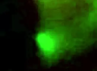 Amateur Voyeur Spies On Neighbor Getting Fucked Hard In Bathroom Shower With Intense Passion