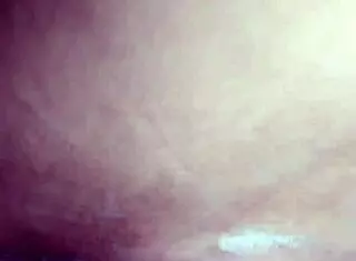 gabi masturbates her pussy to orgasm