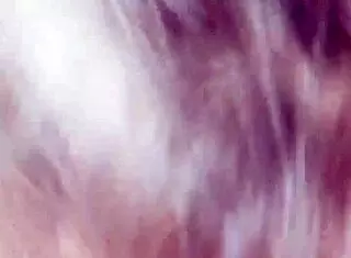 Drblackjohnsonxxx pounding busty trailer park slut