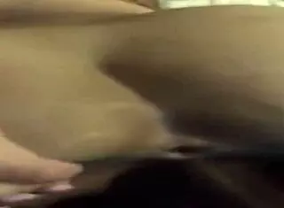 i'm riding a hard black dick in the hotel