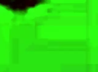 Anime Hentai Video 38