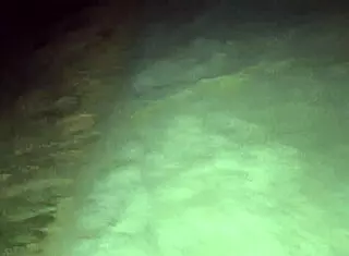 I show my ass without panties in public street