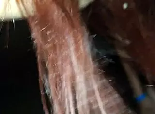 I show my ass without panties in public street