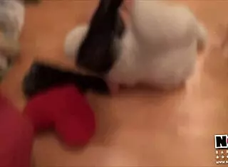 The playful teddy bear dances in furry comic