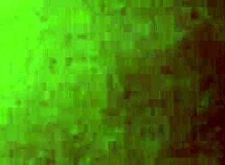 Granny's Joyful Ride to Glory