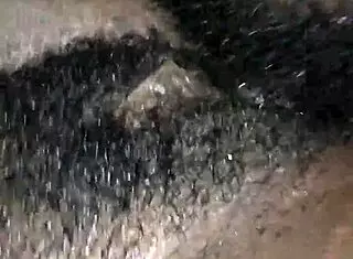 Fucking Mate In Intense Pussy Action