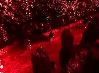 Three Blonde Babes Explode in Wild Outdoor Orgy