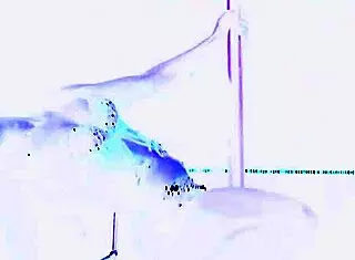 my wife giving first lap dance, so hot