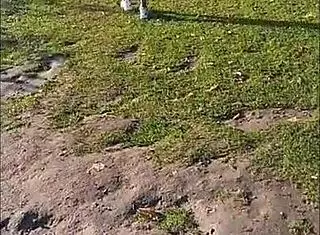 Intense Pleasure with Rio Prostitute