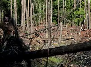 Redhead Teen with Big Tits Masturbates in Forest to Relieve Stress