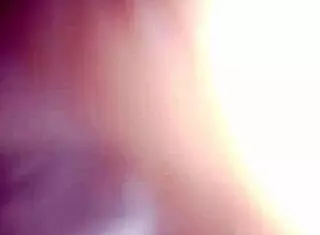 Videos sam collection