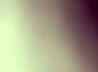 Bosshoggy STROKING my MONSTER COCK