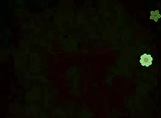 Vietnamese Babe Riding Wild in Steamy Action