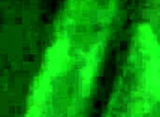 Fucking a tatted flat chested crippled girl