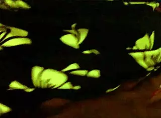 intense pleasure from deep pussy fucking