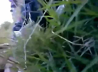 Exploring Identity and Connection in Gay Community Stories