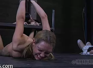 Four Cuties Inside Diminutive Cage Suggestively