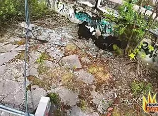 Tattooed brunette milf gets fucked outdoors in doggy pov