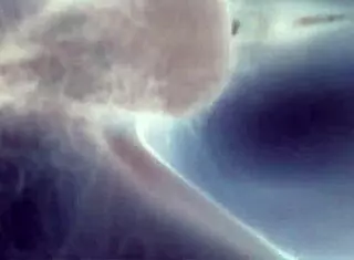 yo, what's up with blanco y negro, wanna explain this wild vibe to me?