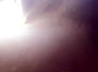 Ebony pussy fuck in park with perfect tits