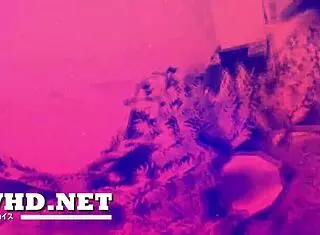 exclusive asian stocking video