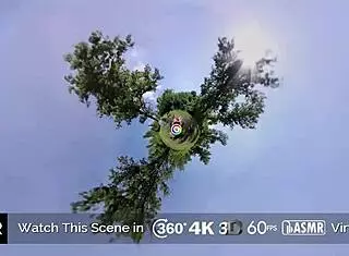 Busty Blonde Fucked And Jizzed At Covert Picnic