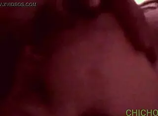 Two Neighbors, Two Cocks, What a Provocative Encounter!