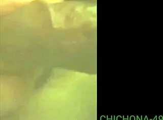 Two Neighbors, Two Cocks, What a Provocative Encounter!