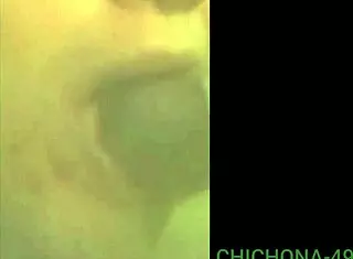 Two Neighbors, Two Cocks, What a Provocative Encounter!