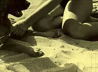 Top Twenty Beauties And The Beasts