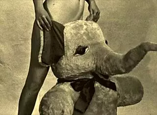 Top Twenty Beauties And The Beasts