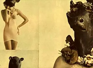 Top Twenty Beauties And The Beasts