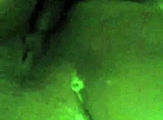 Mom In The Bathroom Gets Hot