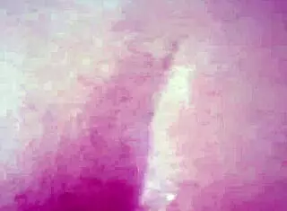 Fucking Naughty Wife's Tight Ass