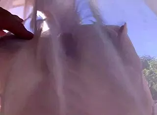 dyanna lauren super sexy big tits cougar milf big cock pov blowjob